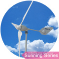 1000W 24V Camping Small Wind Turbine